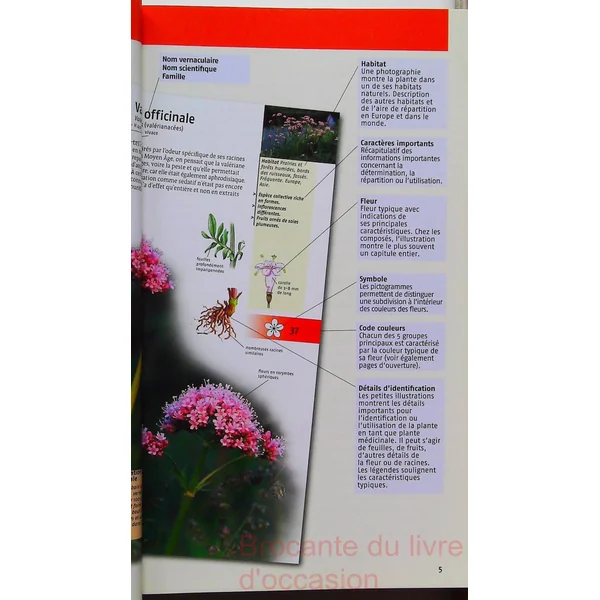 350 Plantes Médicinales