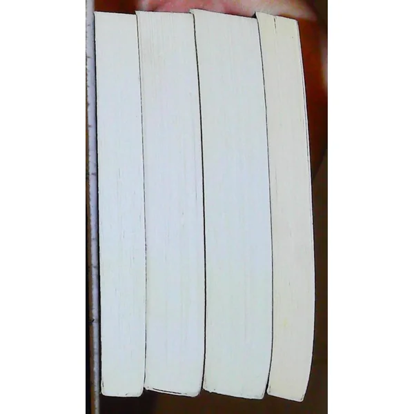 4 livres Polars en nord