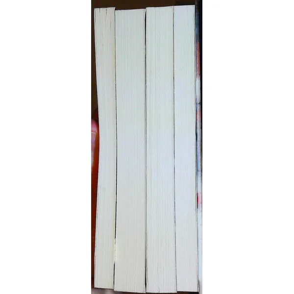 4 livres Polars en nord