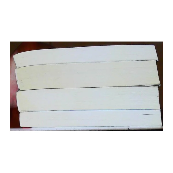 4 livres Polars en nord