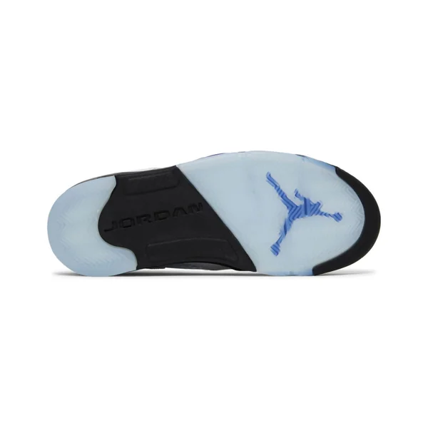 Air Jordan 5 Retro 'Concord'