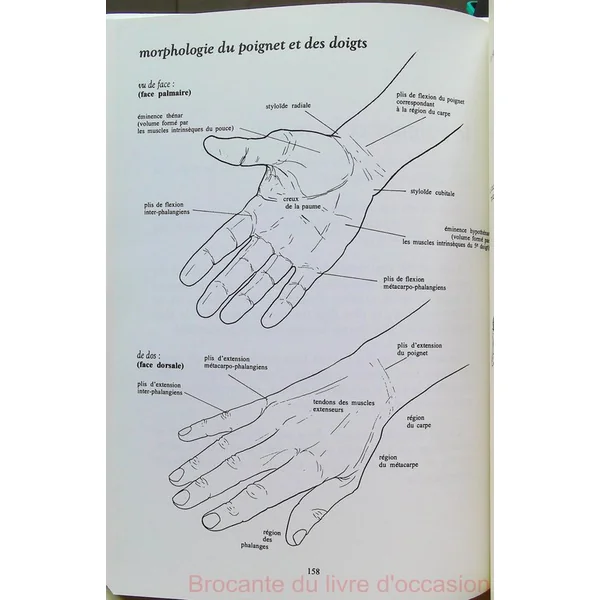Anatomie pour le mouvement, tome 1