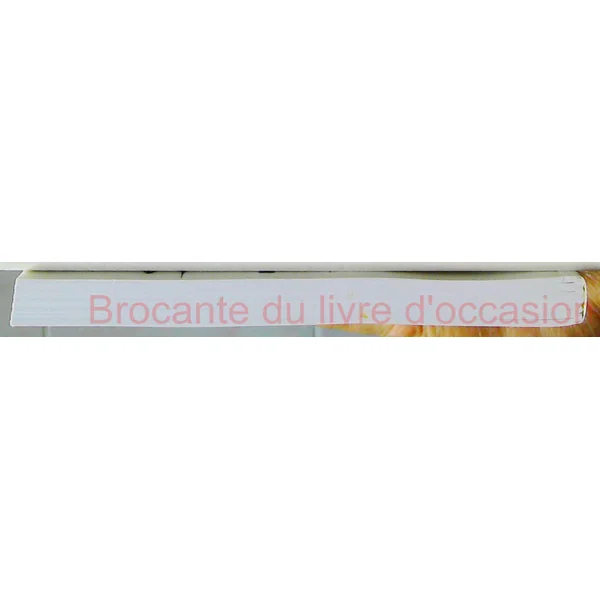 Anglais Thème Grammatical les Bons Reflexes-1