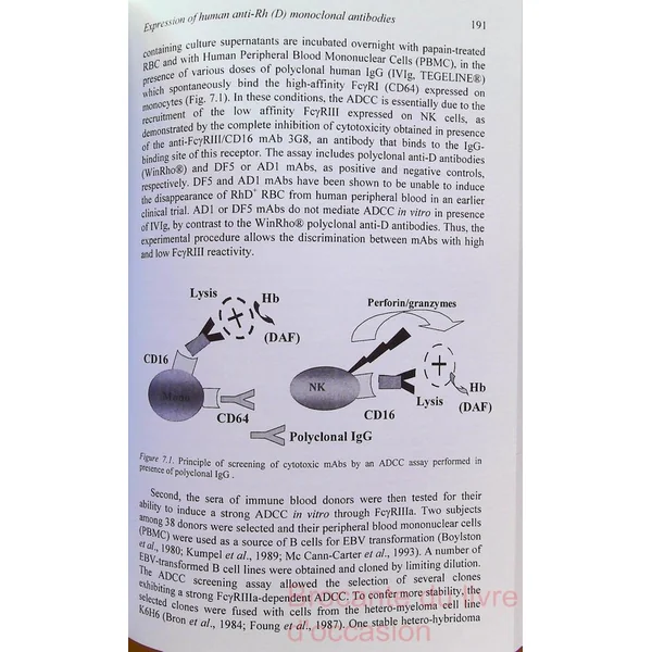 Antibodies Production and Purification (1) Livre en Anglais