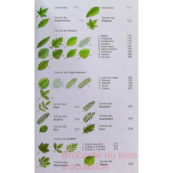Arbres de France et d'Europe occidentale-
