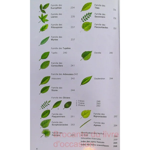 Arbres de France et d'Europe occidentale-