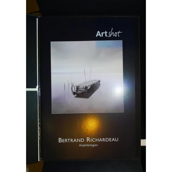 Artshot Amphibologie- Ponton