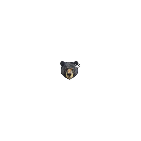 Bear Shaped Jigsaw Puzzle -550 pieces