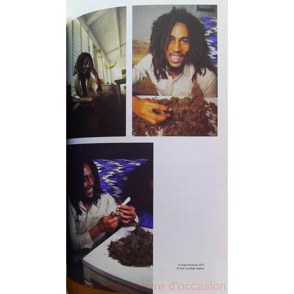 Bob Marley Le dernier prophète