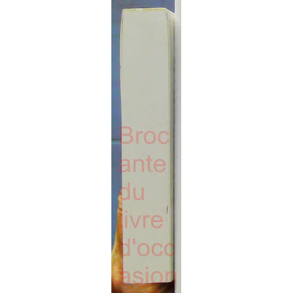 Caché sous le voile-1