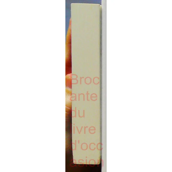 Caché sous le voile-1