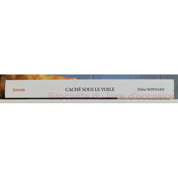 Caché sous le voile-1