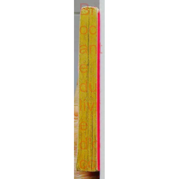 Candy Numéro 1 (prix en fonction de l'>état)