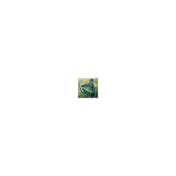 Cape de dragon avec masque - 5/6 ans