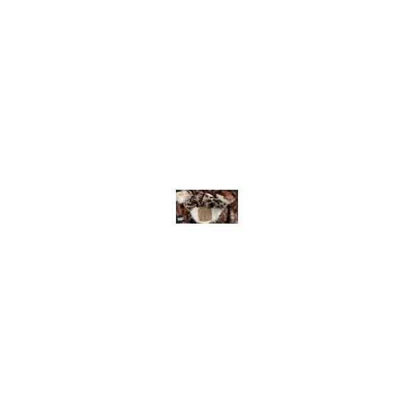 Cat Astrophe (peluche chat 34cm) - Sigikid Beasts