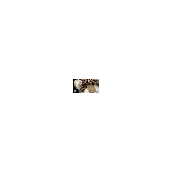 Cat Astrophe (peluche chat 34cm) - Sigikid Beasts