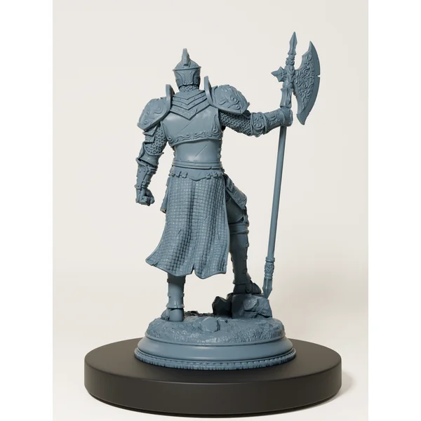 Chevalier de la tour