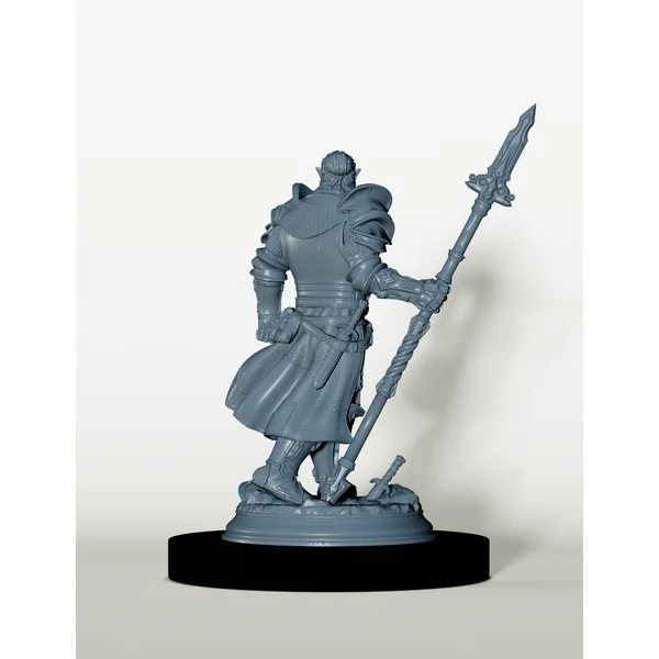 Chevalier Demi-Orc - Gardien de l'Ordre