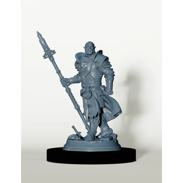 Chevalier Demi-Orc - Gardien de l'Ordre