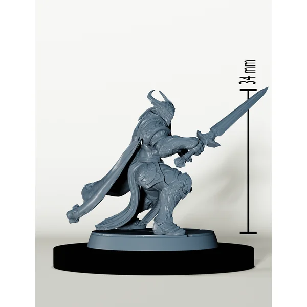 Chevaliers de Bahamut