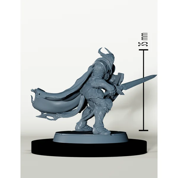 Chevaliers de Bahamut