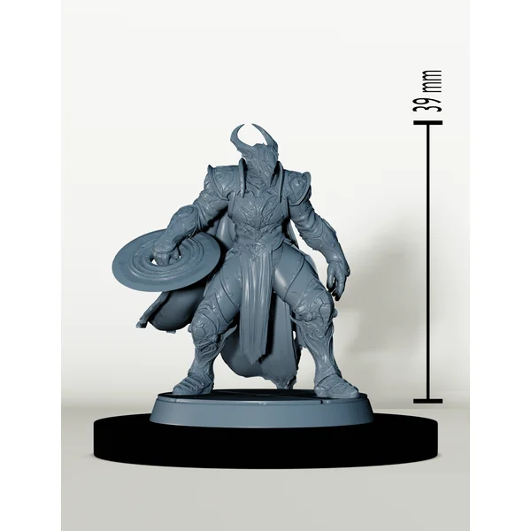 Chevaliers de Bahamut