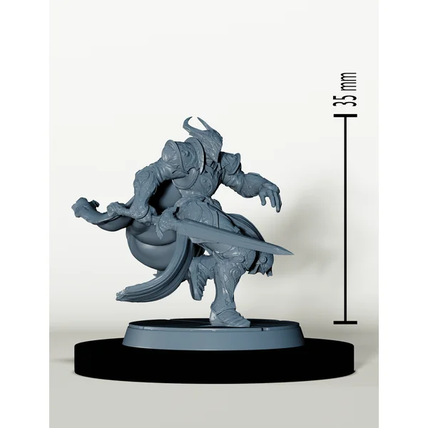 Chevaliers de Bahamut