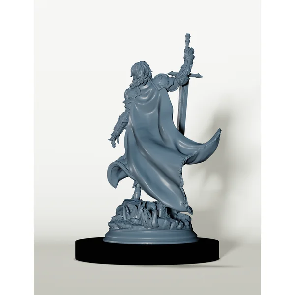 Chevalière Humaine - Justice de la Dynastie