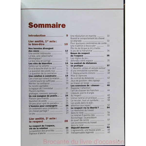 Communiquer avec son cheval