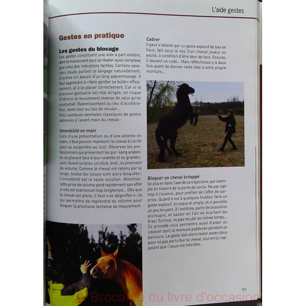 Communiquer avec son cheval