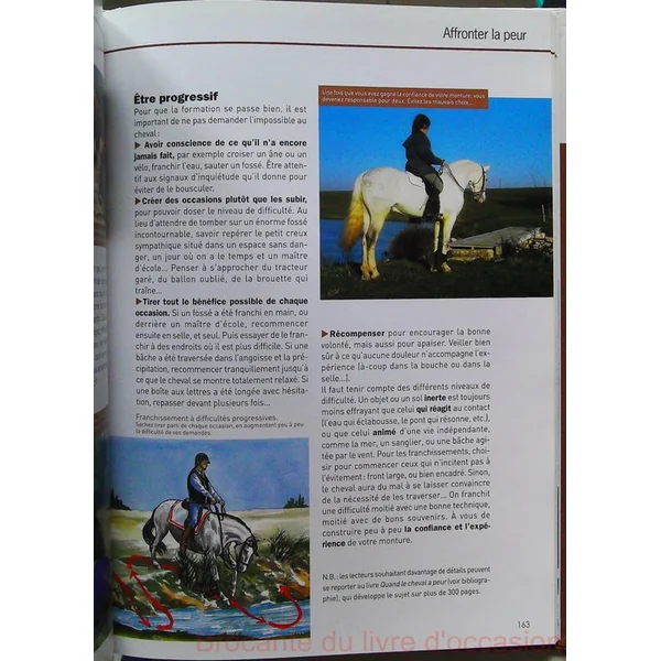 Communiquer avec son cheval