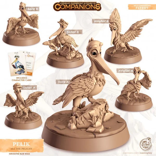 Compagnon pélican