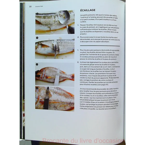 Cuisiner le poisson