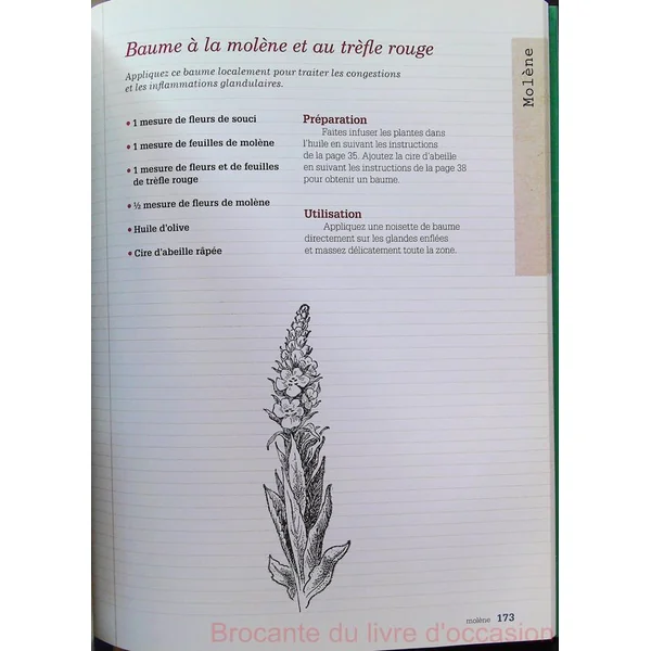Cultiver et utiliser les plantes médicinales-