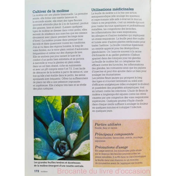 Cultiver et utiliser les plantes médicinales-