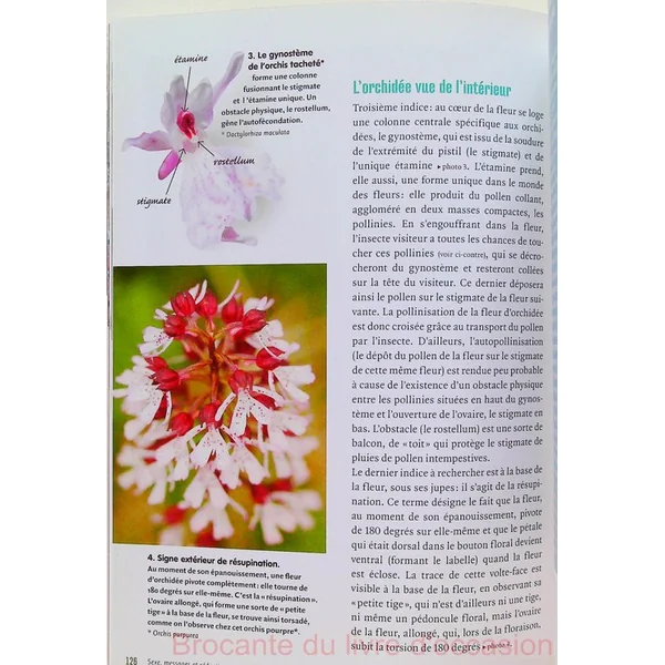 Dans la peau d'une plante