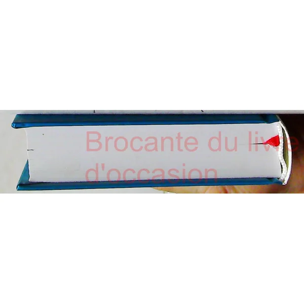 Dictionnaire français-tchèque et tchèque-français