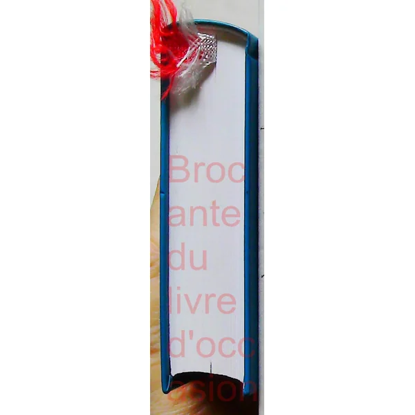 Dictionnaire français-tchèque et tchèque-français