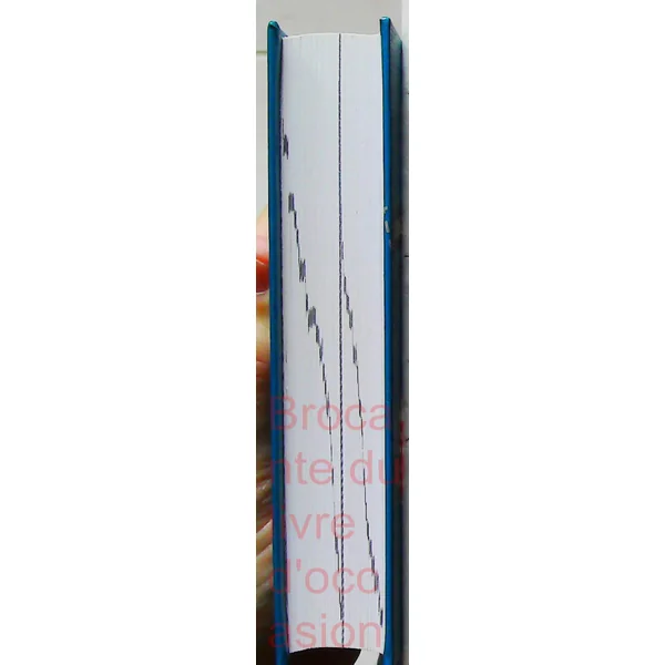 Dictionnaire français-tchèque et tchèque-français