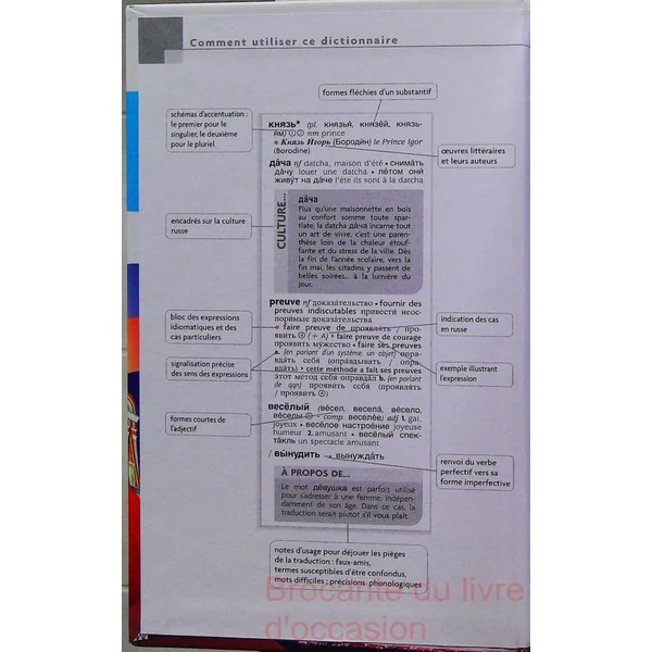 Dictionnaire Larousse Maxi poche plus Russe