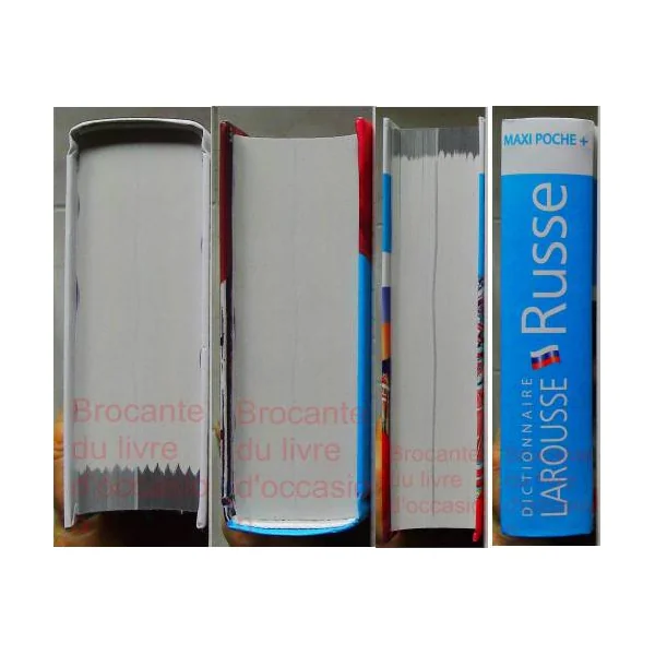 Dictionnaire Larousse Maxi poche plus Russe