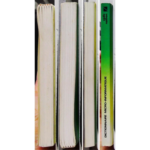 Dictionnaire Micro-informatique