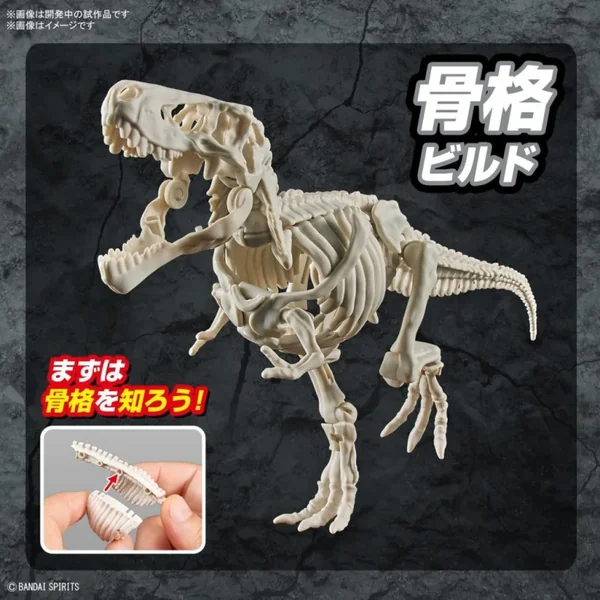 DINOSAURS TYRANNOSAURUS MK
