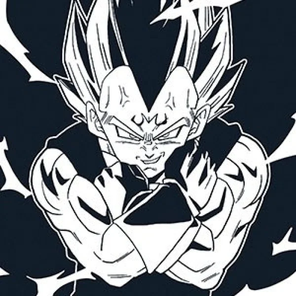 Dragon Ball Z - T-shirt Vegeta