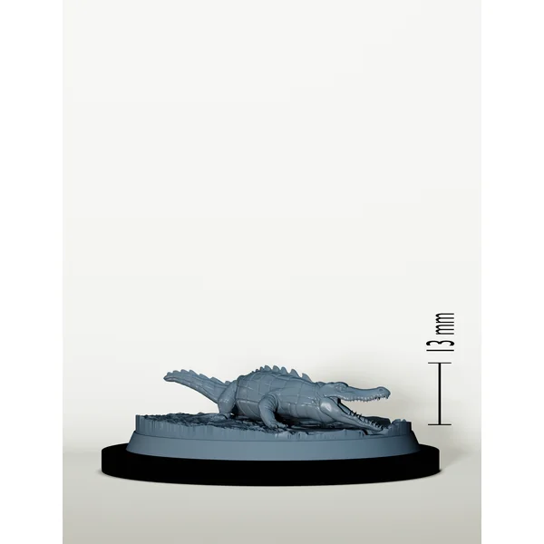 Dresseurs de Crocodiles