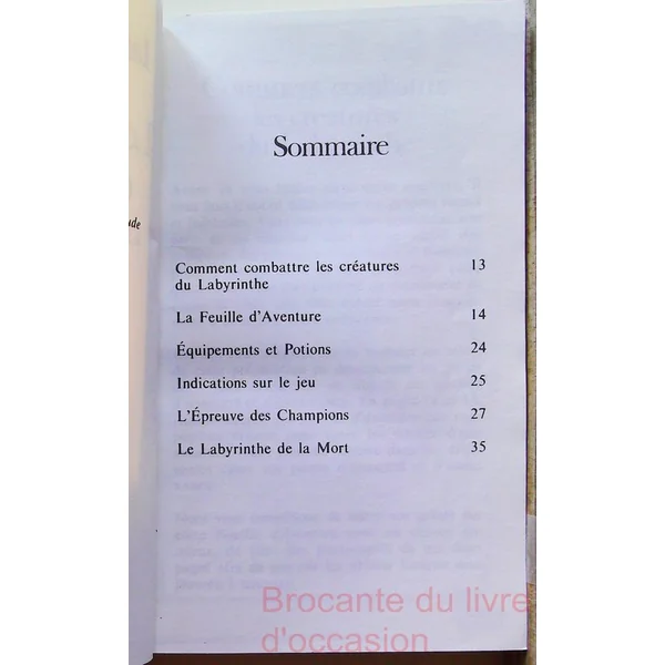 Défis fantastiques, numéro 6 - Le Labyrinthe de la mort (Un livre dont vous etes le héros)