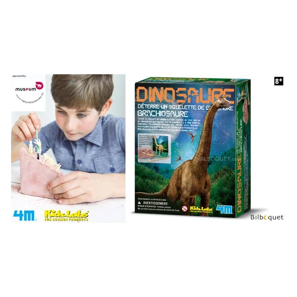 Déterre un squelette de dinosaure - Brachiosaure