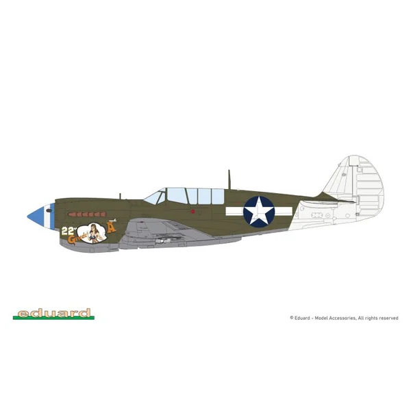 EDUARD 82242 EDUARD-PROFIPACK P-40N WARHAWK 1/48