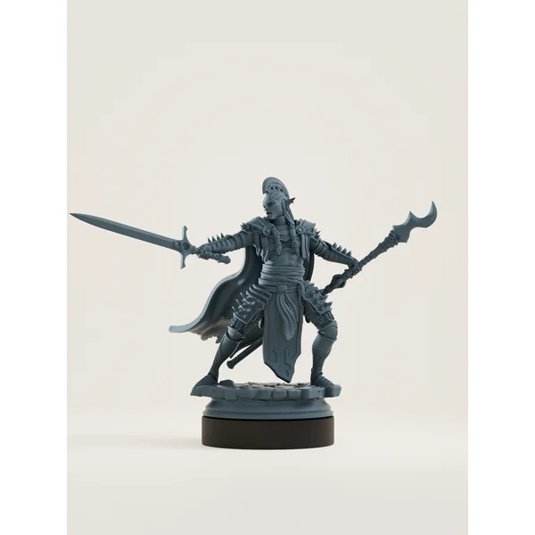 Elfe drow champion