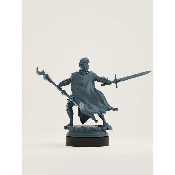 Elfe drow champion